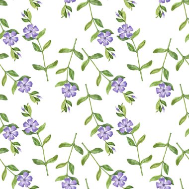 Deniz salyangozu bitki ile Seamless modeli