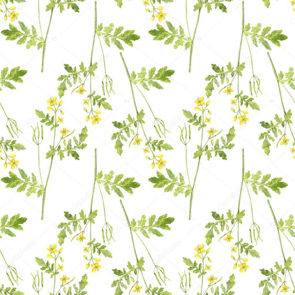 Seamless pattern with plant of celandine