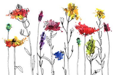 Vektör çizim bitkiler ve çiçekler