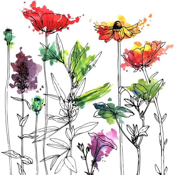 Dessin vectoriel herbes et fleurs — Image vectorielle
