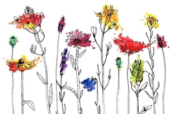 Vektorzeichnung von Kräutern und Blumen — Stockvektor