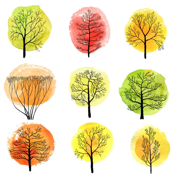 Ensemble vectoriel d'arbres à feuilles caduques — Image vectorielle
