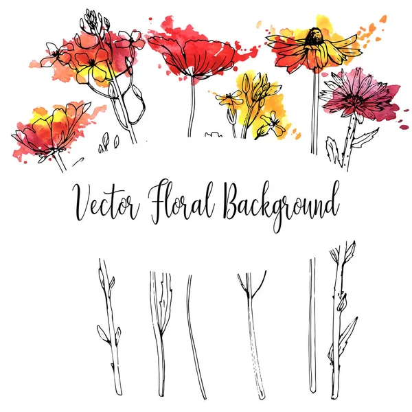 Dibujo vectorial hierbas y flores — Vector de stock