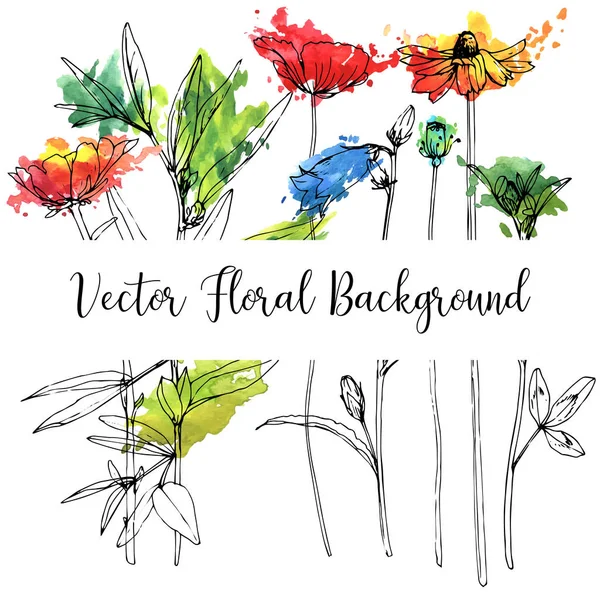 Dibujo vectorial hierbas y flores — Archivo Imágenes Vectoriales