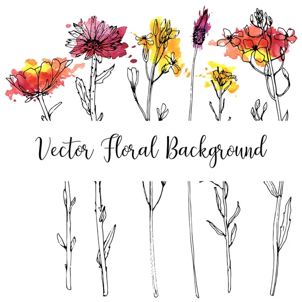 Dessin vectoriel herbes et fleurs — Image vectorielle