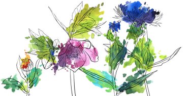 vektör çizimi çiçekleri