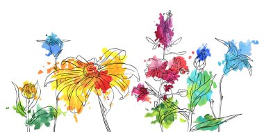 vektör çizimi çiçekleri