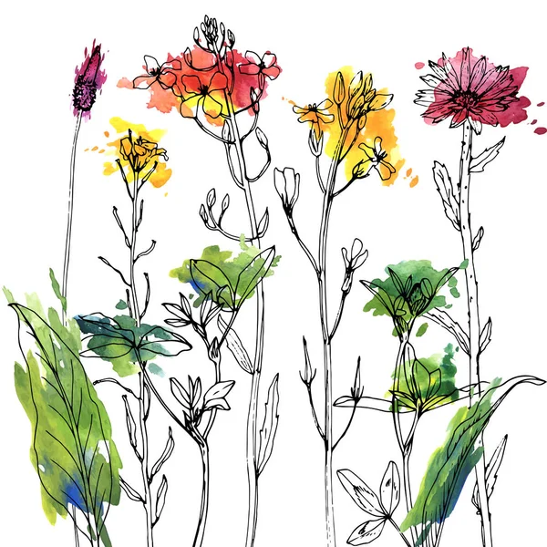 Векторний малюнок трав і квітів — стоковий вектор