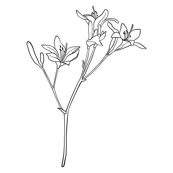 Vector dibujo flor — Vector de stock
