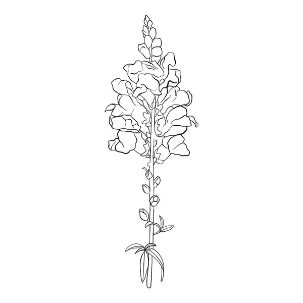 Vector tekening bloem — Stockvector