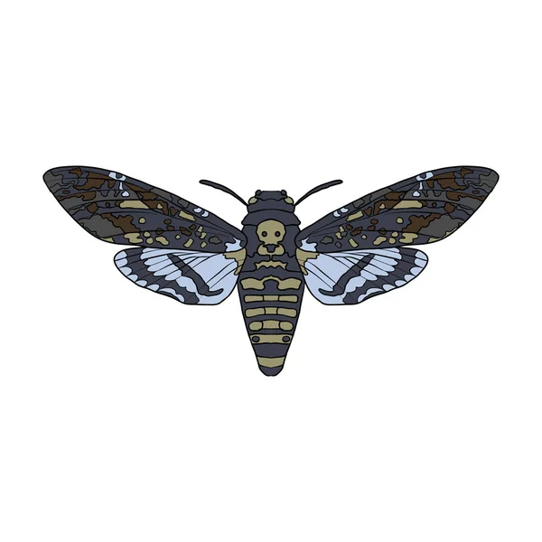 Векторний малюнок метелик — стоковий вектор