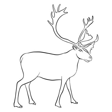 Ren geyiği çizim vektör