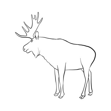 Elk çizim vektör