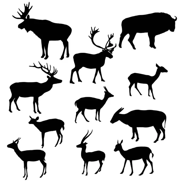 Vector silhouettes of horned animals — Stock Vector