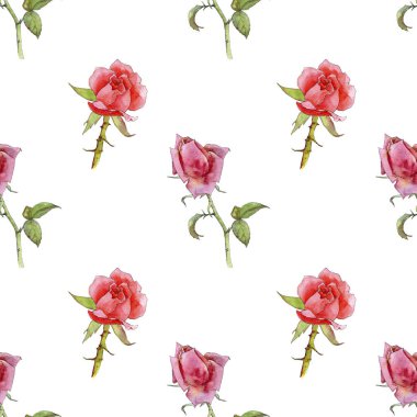 Sulu Boya çizim gül ile Seamless Modeli
