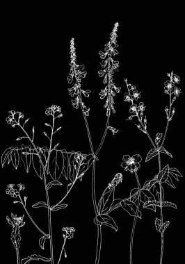 Mürekkep çizim otlar ve çiçek kümesi