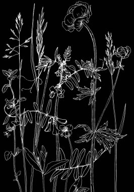 Mürekkep çizim otlar ve çiçek kümesi