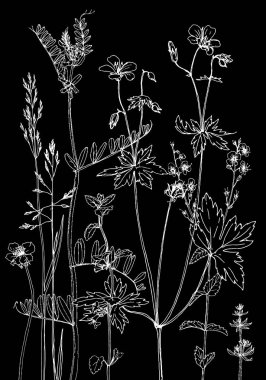 Mürekkep çizim otlar ve çiçek kümesi