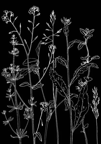 Conjunto de tinta dibujo hierbas y flores — Archivo Imágenes Vectoriales