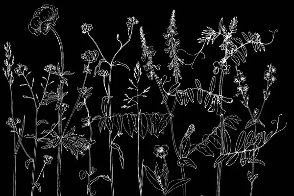 Conjunto de tinta dibujo hierbas y flores — Vector de stock