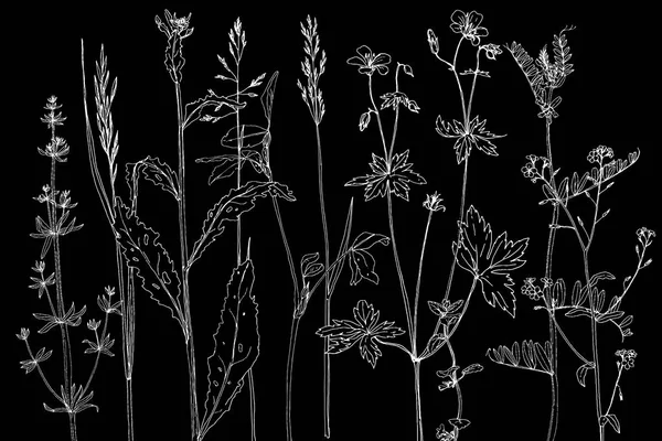 Set de cerneală desen ierburi și flori — Vector de stoc