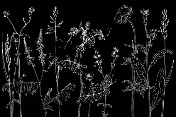 Set van inkt tekenen van kruiden en bloemen — Stockvector