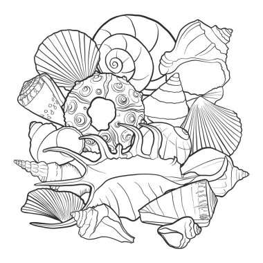 vector background with seashells clipart
