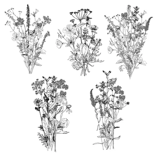 Bouquets vectoriels avec dessin de plantes sauvages — Image vectorielle