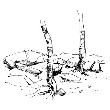 ağaç gövdeleri ve kayalar vektör kroki