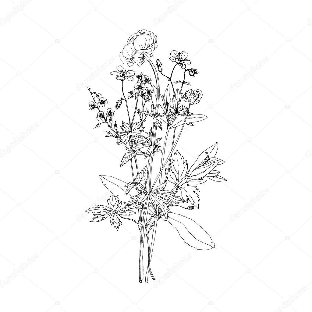 Vector bouquet with drawing wild plants