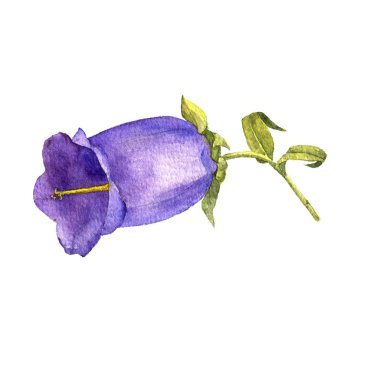 Sulu Boya çizim çiçek