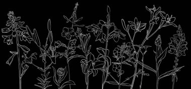 vektör çizimi çiçekleri