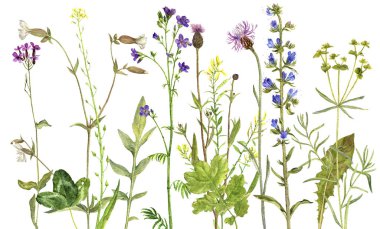 arka plan suluboya çiçekli