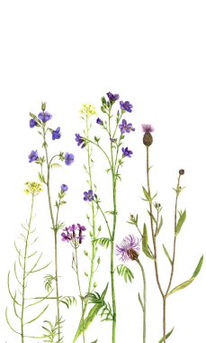 arka plan suluboya çiçekli