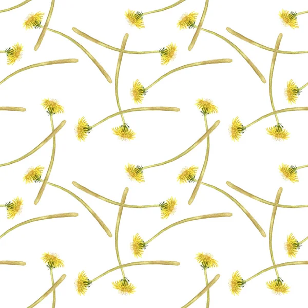 Wzór z kwiatami dandellion — Zdjęcie stockowe