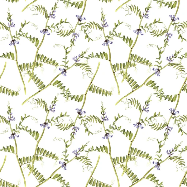 春のエンドウの花のシームレス パターン — ストック写真