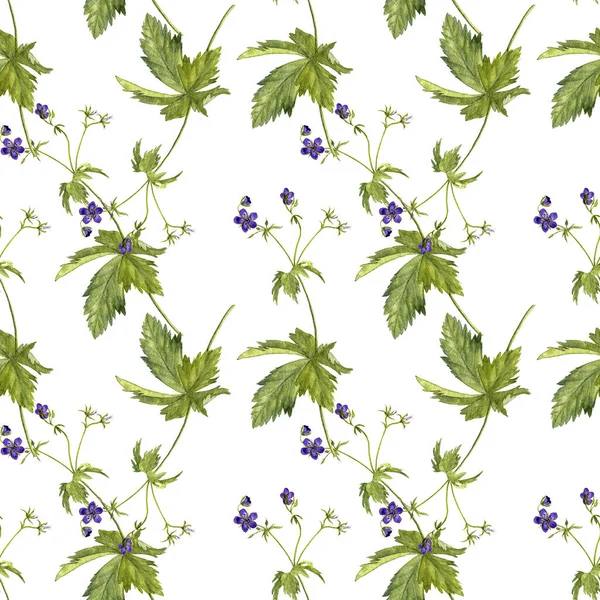 Naadloze patroon met bloem van weide geranium — Stockfoto