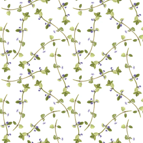 Varrat nélküli mintát virágok ground-Ivy — Stock Fotó