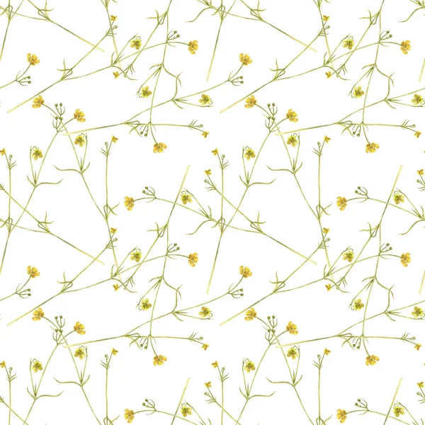 Seamless pattern with flowers of meadow buttercup — Stock Photo, Image