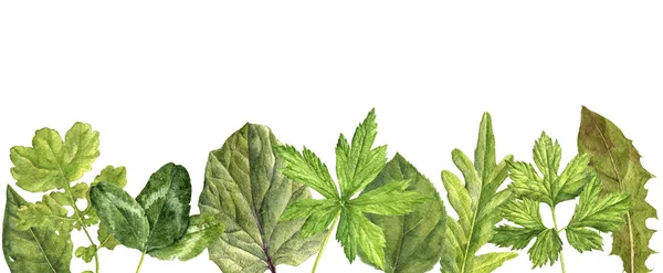 Watercolor background with green leaves — Stock Photo, Image