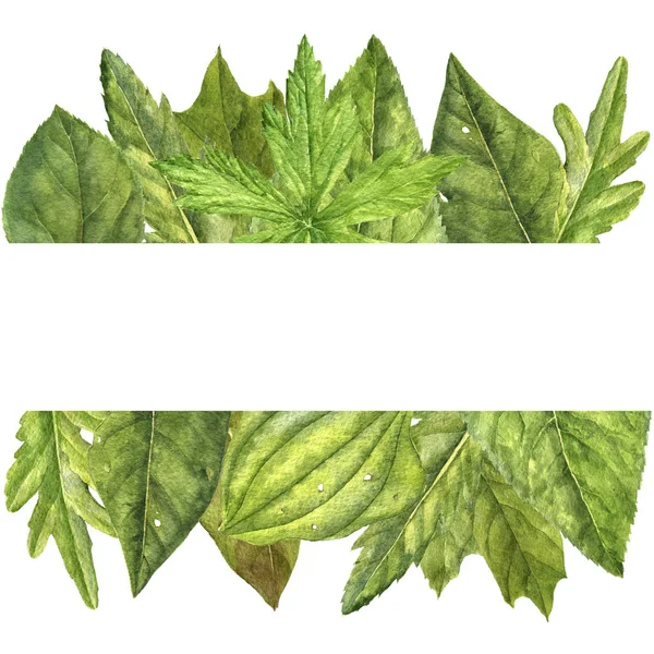 Ακουαρέλα φόντο με πράσινα φύλλα — Φωτογραφία Αρχείου