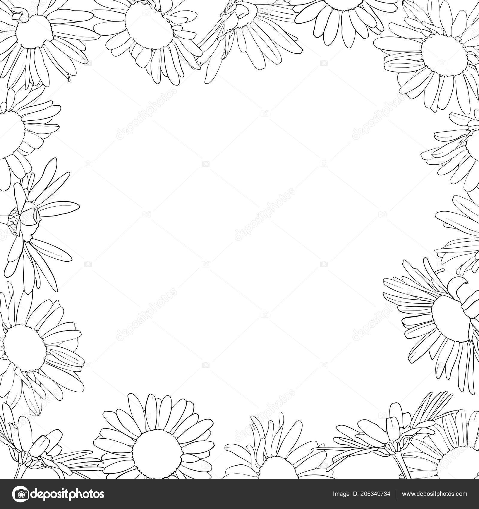 Image De Vecteur Avec Le Dessin De Fleurs De Marguerite