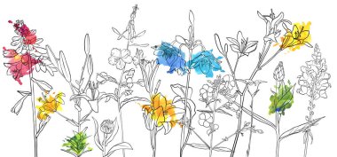 vektör çizimi çiçekleri