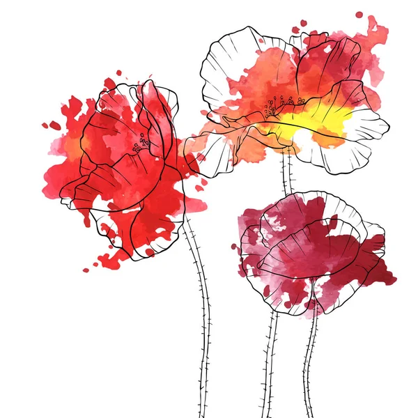 Vector tekening poppy bloemen — Stockvector