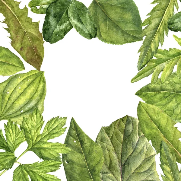 Watercolor background with green leaves — Stock Photo, Image