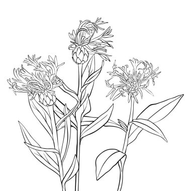 Peygamber çizim vektör