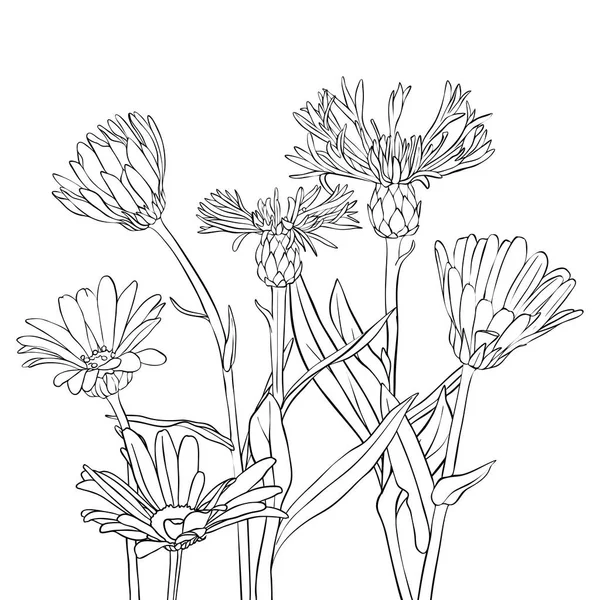 Векторное рисование кукурузных цветов и ромашки — стоковый вектор