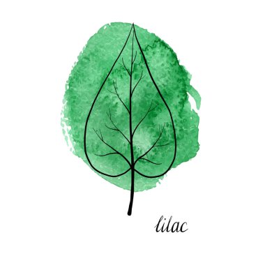 Leylak ağacının vektör yaprak