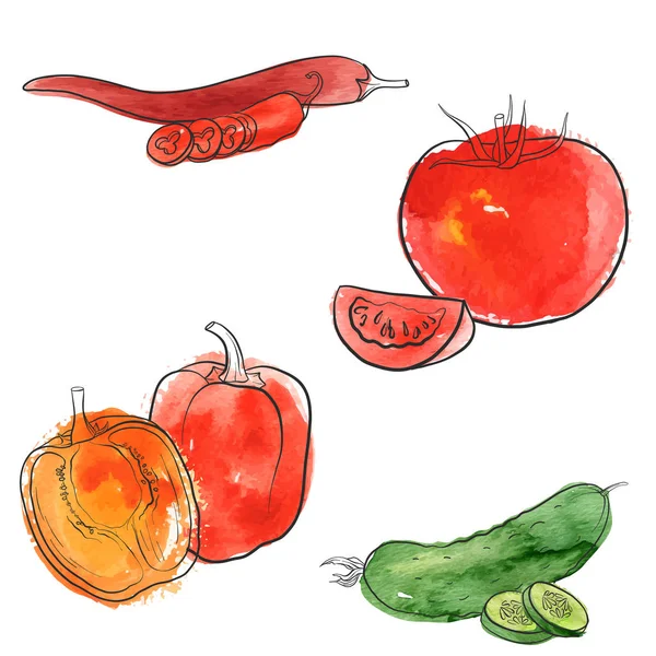 Vector dibujo verduras — Vector de stock