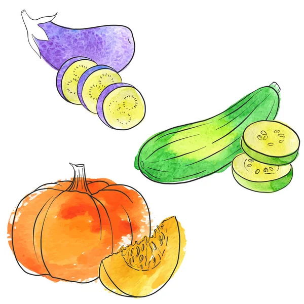 Vector drawing pumpkin — Stock Vector